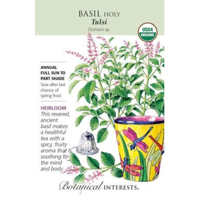 Seed Herb Basil Holy Tulsi Organic Heirloom - Ocimum sp.
