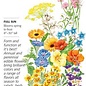 Seed Flwr Flower Mix Edible Beauties - Assorted species