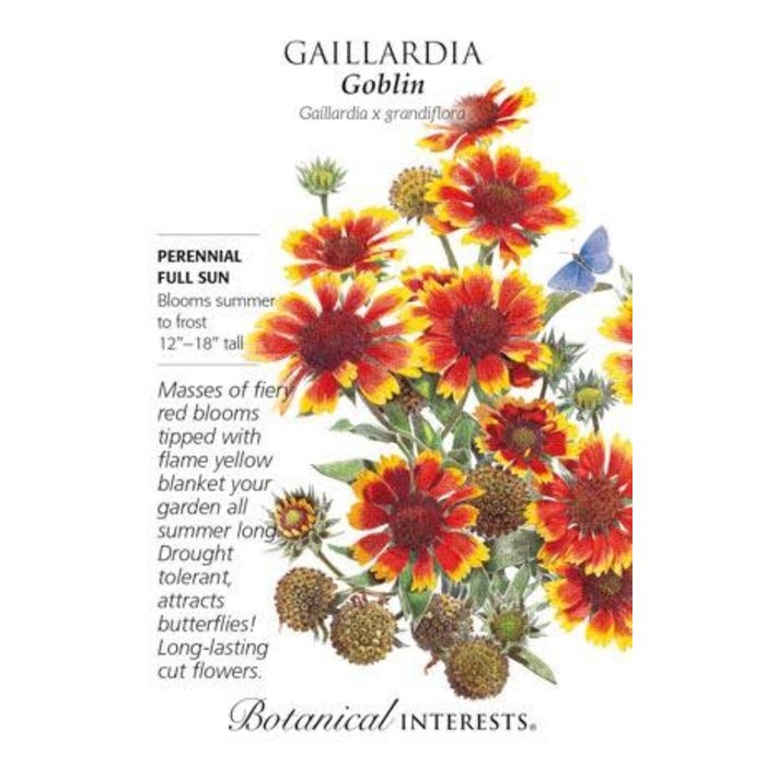 Seed Flwr Gaillardia Goblin - Gaillardia x grandiflora