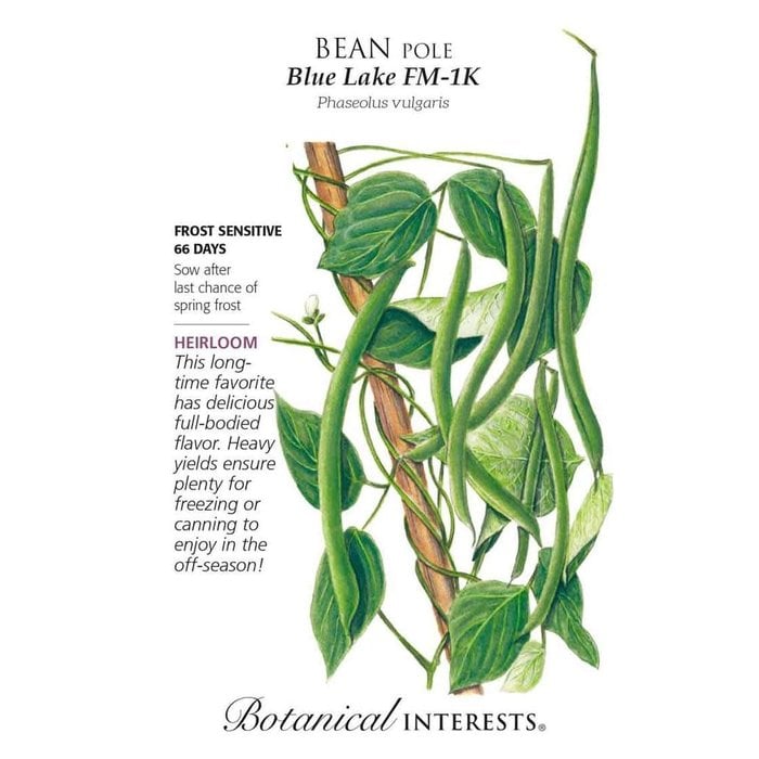 Seed Bean Pole Blue Lake FM-1K Heirloom - Phaseolus vulgaris - Lrg Pkt