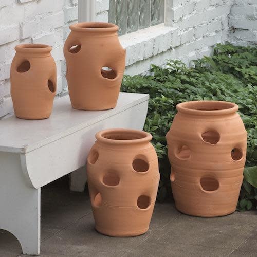 Pot Strawberry Jar 3-Gallon Terracotta