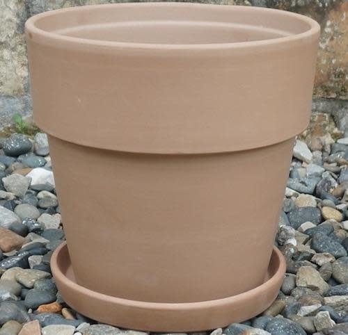 Pot Wide Rim Taper Standard w/Saucer Lrg 8x7.75 Antq Terracotta