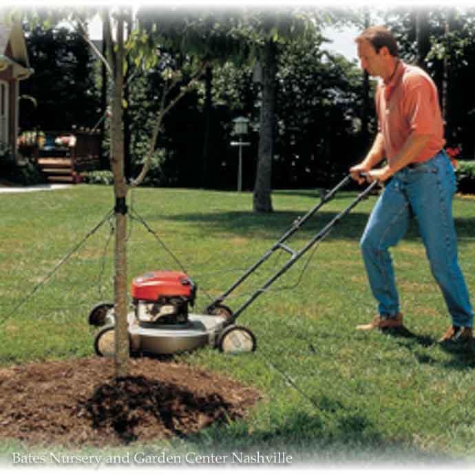 Mow-Over Tree Stake Kit Dalen