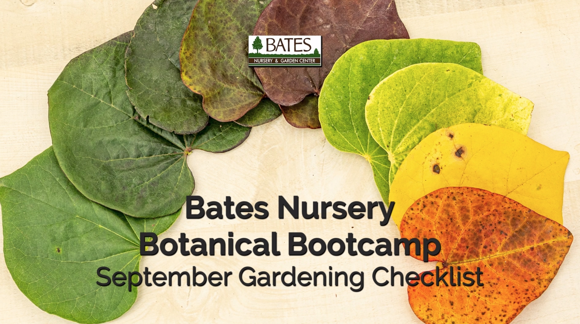 September Gardening Checklist