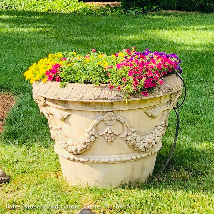 Kitchen Compost Bucket/Pail w/Lid - Bates Nursery & Garden Center