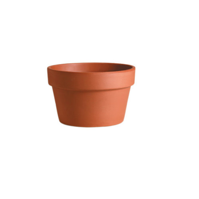 Pot Azalea 6" Short Clay Standard  / Terracotta