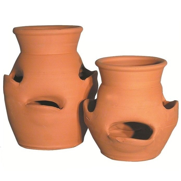 Pot Strawberry Jar 4-Large Pocket Terracotta