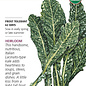 Seed Kale Italian Nero Toscana / Dinosaur Organic Heirloom - Brassica oleracea - Lrg Pkt