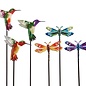 Plant Pick / Garden Stake Nature Conservatory Hbird/Drgfly Asst 24H