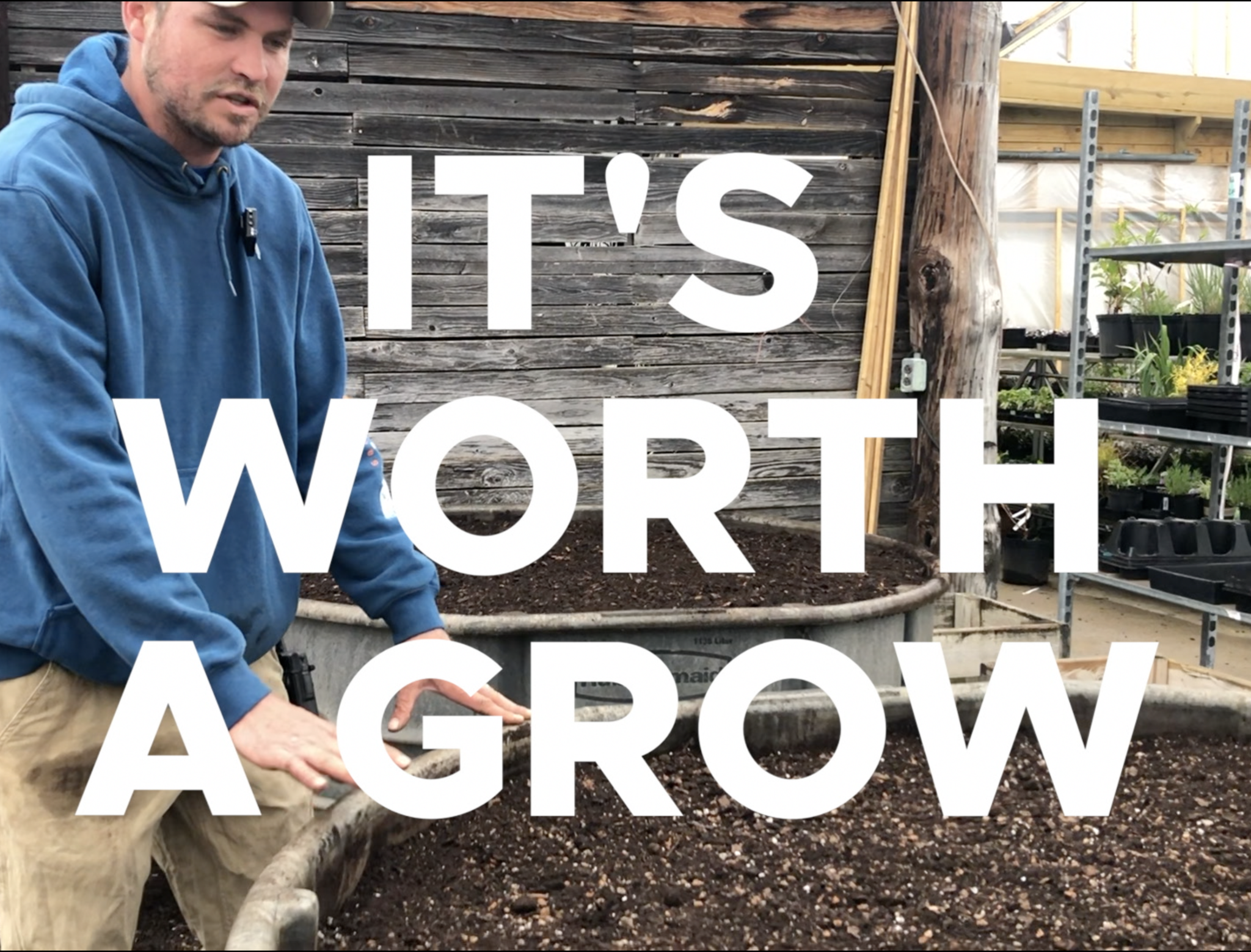 It's Worth a Grow - Veggie Starts Sale