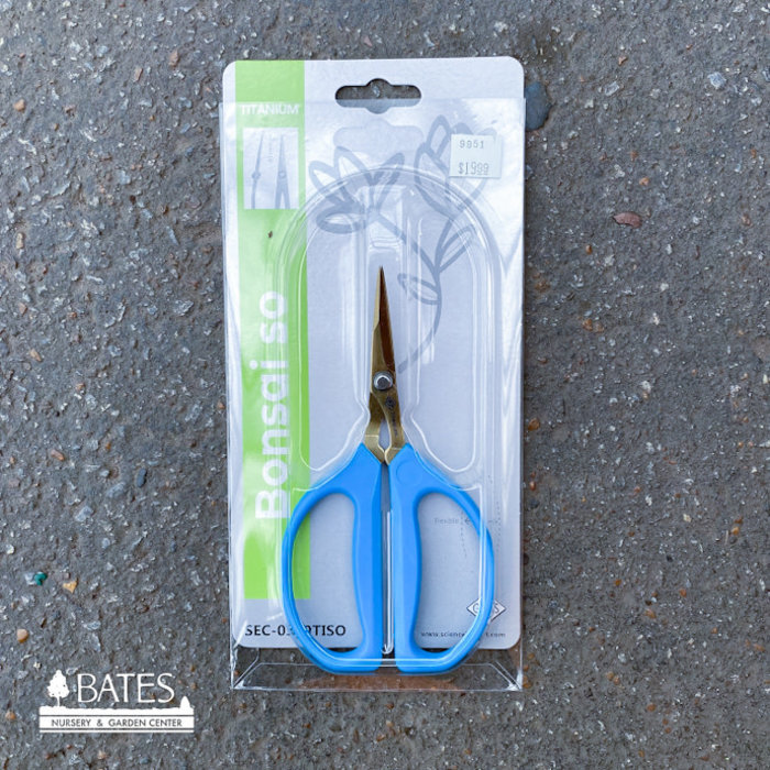 Angled Bonsai Shears / Scissors