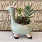 5P Stoneware Alpaca w/ Succulents