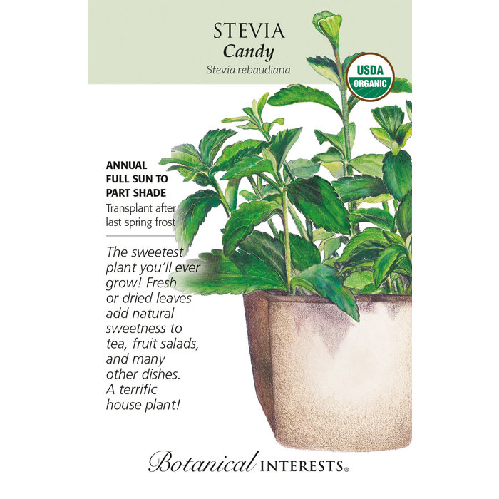 Seed Herb Stevia Candy Organic - Stevia rebaudiana