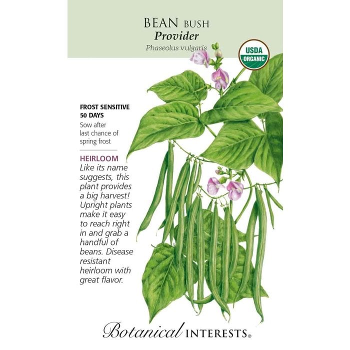 Seed Bean Bush Provider Organic Heirloom - Phaseolus vulgaris - Lrg Pkt