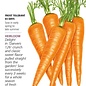 Seed Carrot Danvers 126 Organic Heirloom - Daucus carota - Lrg Pkt