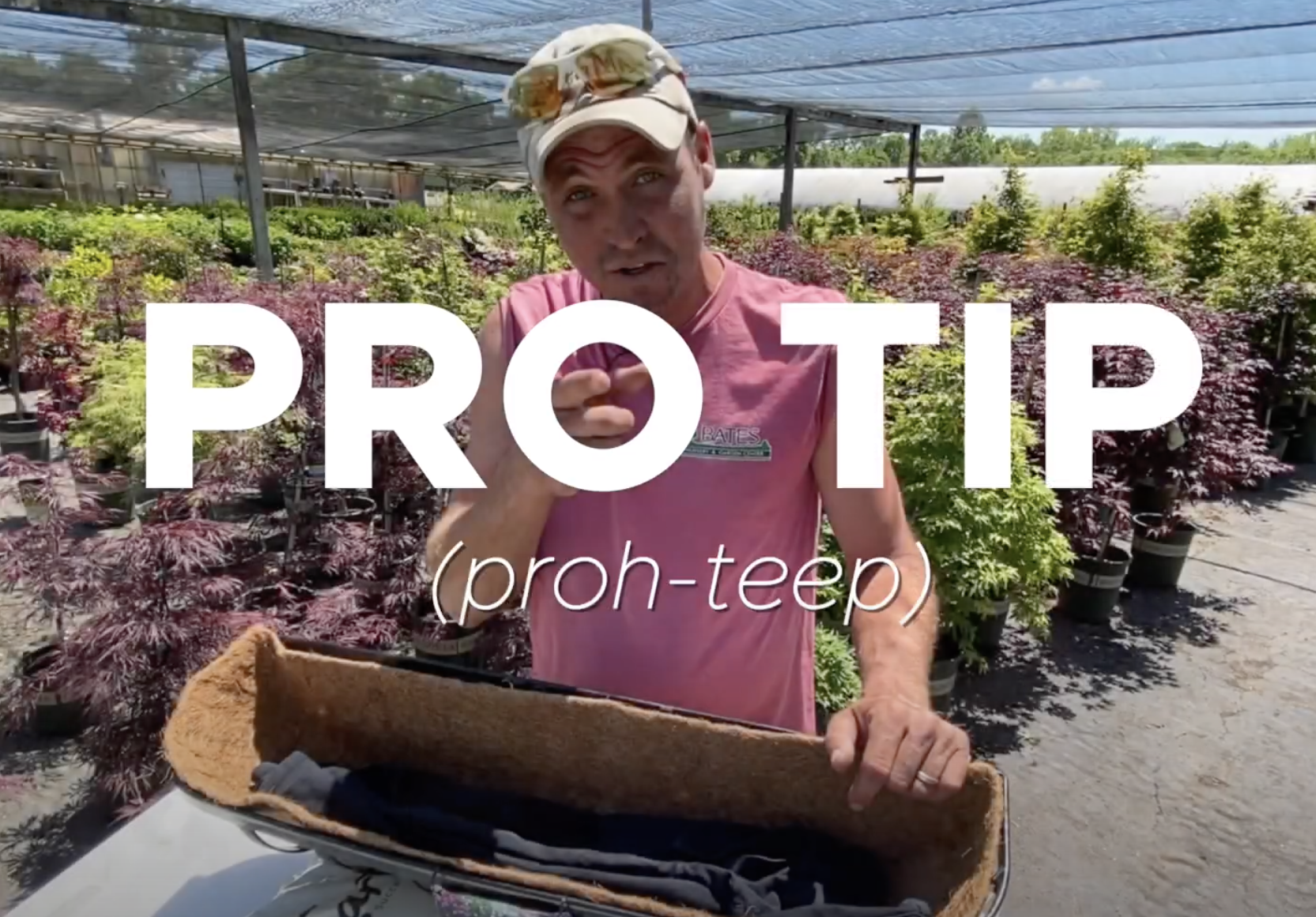 ProTip: Prop Up Fruit Tree Limbs