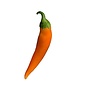 Seed Pepper Bulgarian Carrot Heirloom Organic - Capsicum annuum