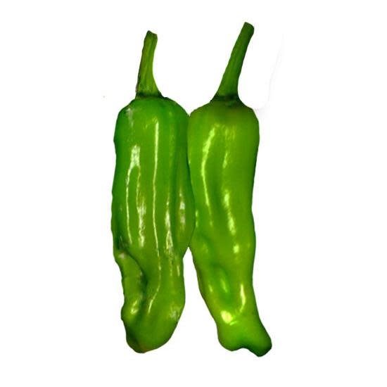 Seed Pepper Pepperoncini Golden Greek Heirloom - Capsicum annuum