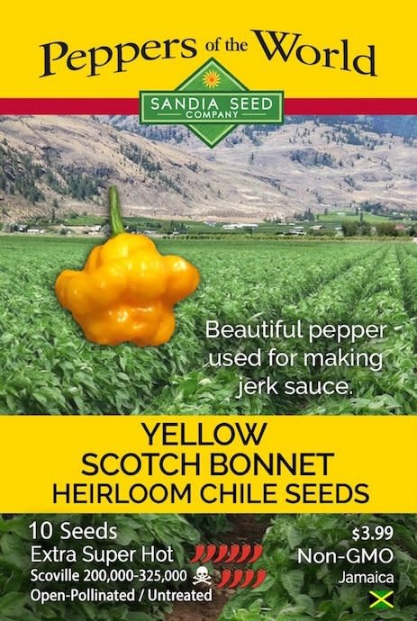 Seed Pepper Scotch Bonnet Yellow Heirloom - Capsicum chinense