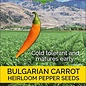 Seed Pepper Bulgarian Carrot Heirloom Organic - Capsicum annuum