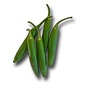 Seed Pepper Serrano Tampiqueno Heirloom - Capsicum annuum