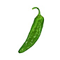 Seed Pepper Big Jim Legacy Heirloom - Capsicum annuum