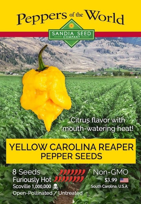 Seed Pepper Carolina Reaper Yellow Heirloom - Capsicum chinense