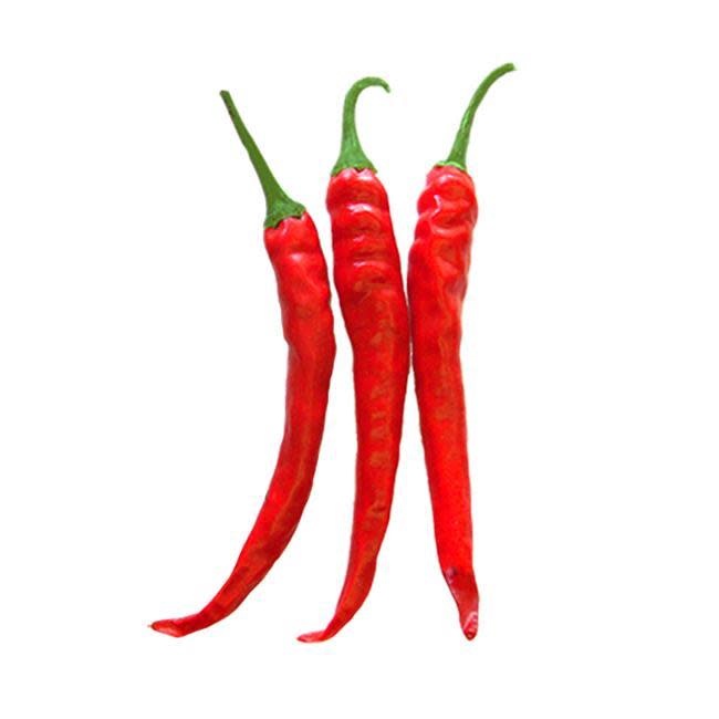 Seed Pepper Cayenne Ring of Fire Heirloom - Capsicum annuum