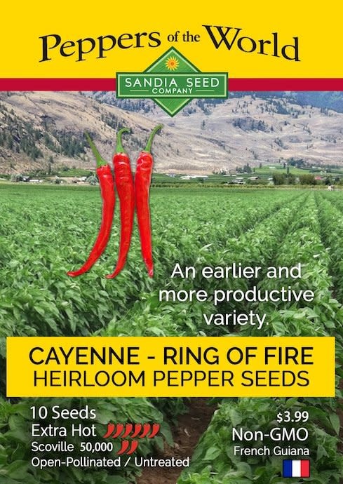 Seed Pepper Cayenne Ring of Fire Heirloom - Capsicum annuum