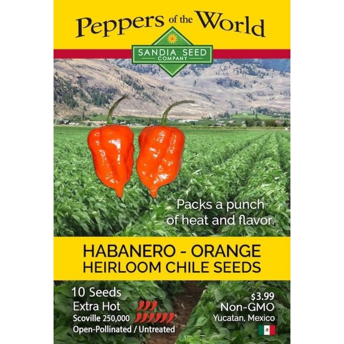 Seed Pepper Habanero Orange Heirloom - Capsicum chinense