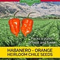 Seed Pepper Habanero Orange Heirloom - Capsicum chinense