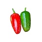 Seed Pepper Jalapeno Traveler Heirloom Organic - Capsicum annuum