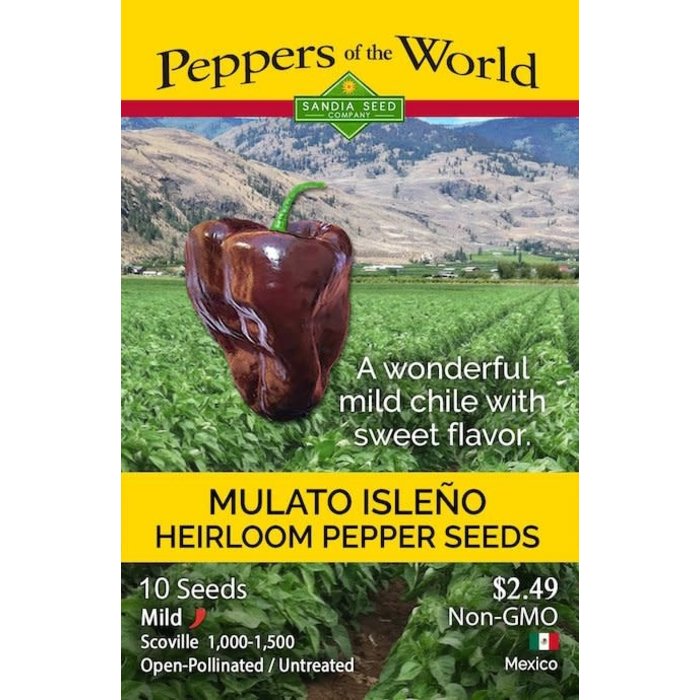 Seed Pepper Poblano Mulato Isleno /Chocolate Heirloom - Capsicum annuum