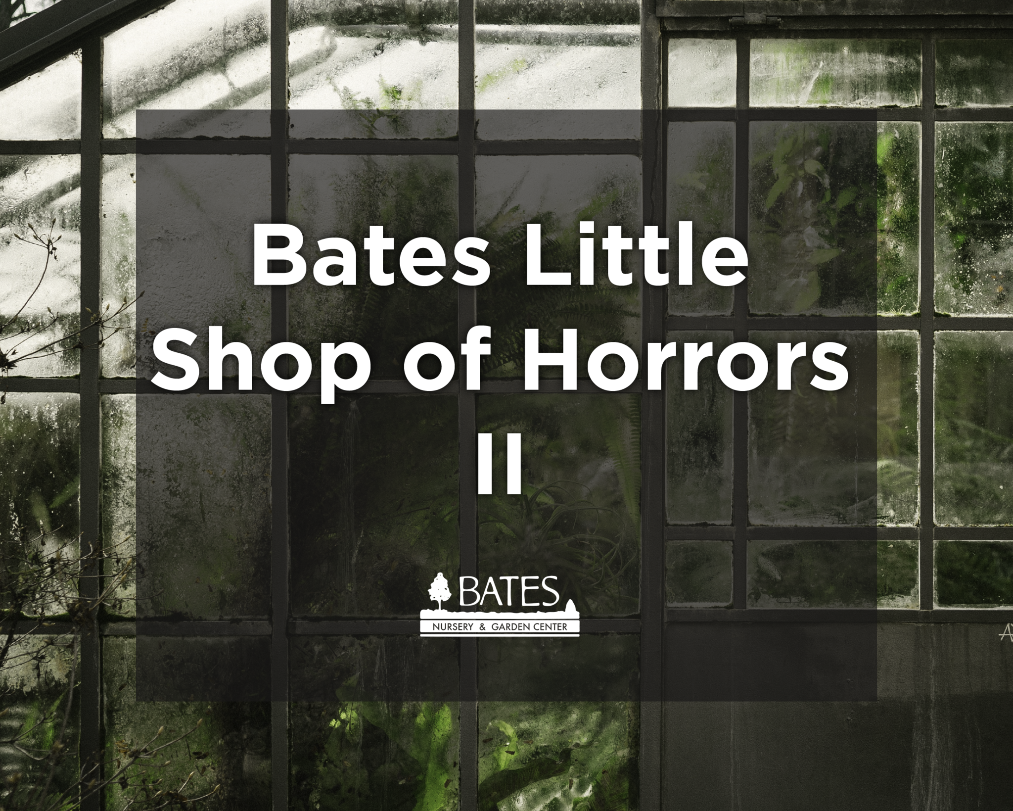 Bates Nursery's Little Shop of Horrors II