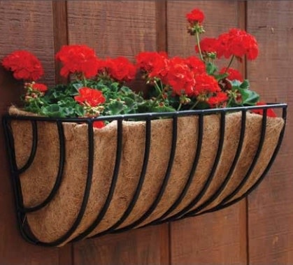 30" Wall Trough XL Waterbury w/Coco Liner Border