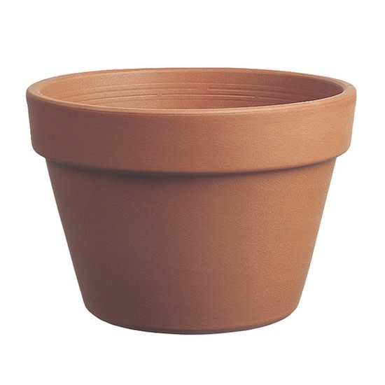 Pot Azalea 10" Short Clay Standard / Terracotta