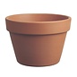 Pot Azalea 6" Short Clay Standard  / Terracotta