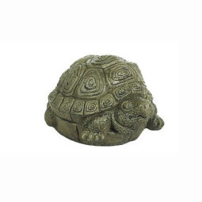 Statuary Small Turtle 4x6x5