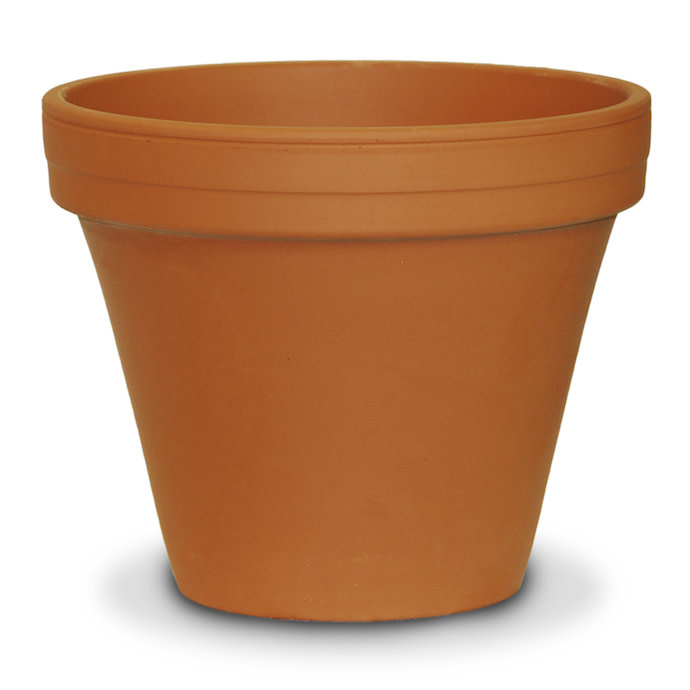 Pot 5.5"-6" Clay Standard / Terracotta