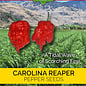 Seed Pepper Carolina Reaper Heirloom - Capsicum chinense