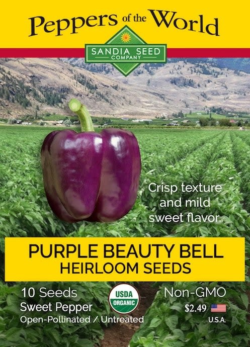 Seed Pepper Sweet Bell Purple Beauty Heirloom Organic - Capsicum annuum