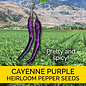 Seed Pepper Cayenne Purple Heirloom - Capsicum annuum