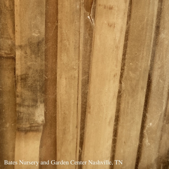 Screen Fencing Split Bamboo 13' Wide X 5'Tall Gardman