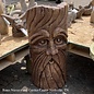 Statuary Bearded Barley Face /Tree Face 36x16