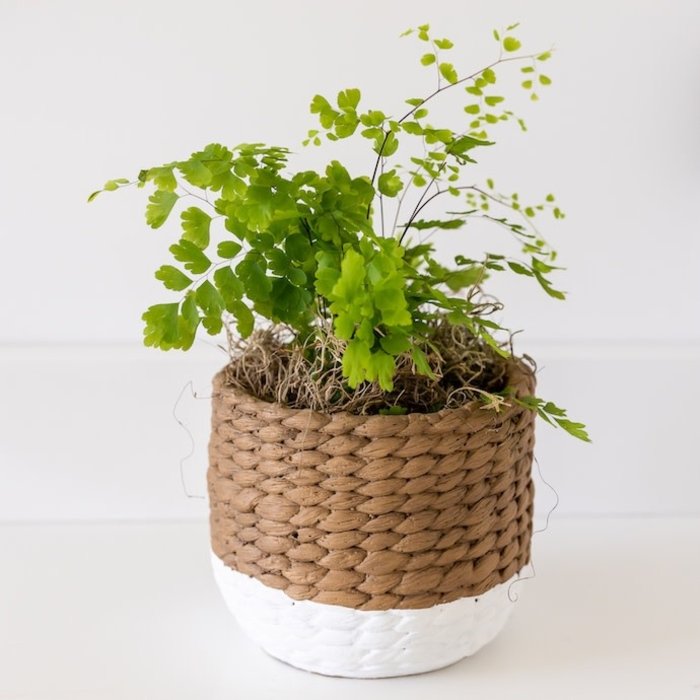 Pot Basket w/White Bottom 6x6.5 Brown/White