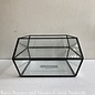 Glass Terrarium Low 4x4x7