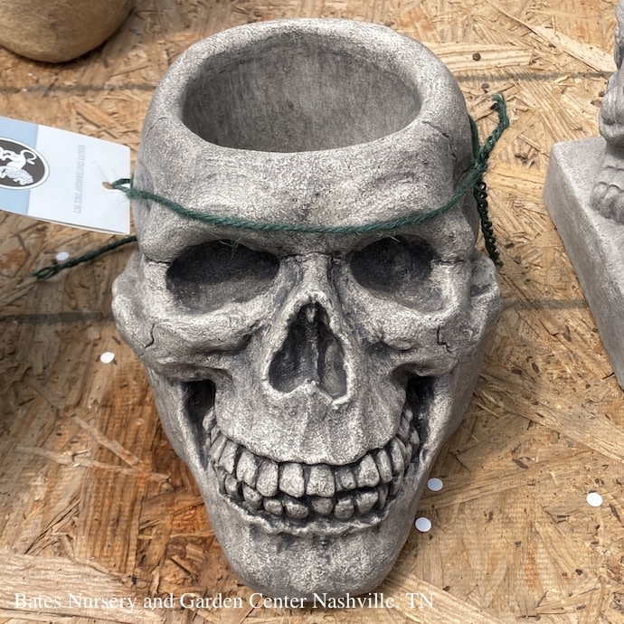 Pot Skull Planter 6x9 Concrete