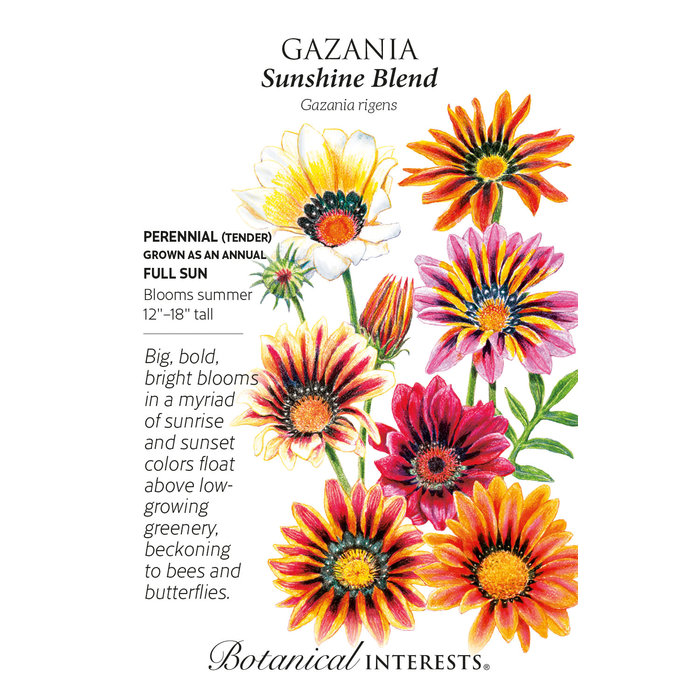 Seed Flwr Gazania Sunshine Blend - Gazania rigens