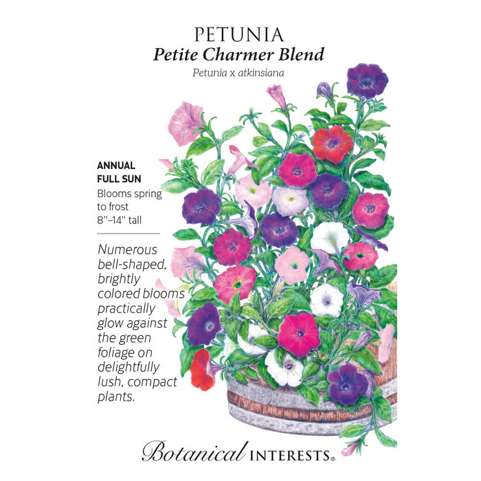 Seed Flwr Petunia Petite Charmer Blend - Petunia x atkinsiana