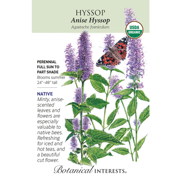 Seed Flwr Hyssop Anise Organic Native (R) - Agastache foeniculum